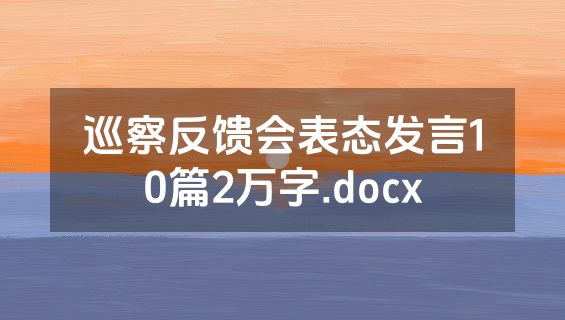 巡察反馈会表态发言10篇2万字.docx