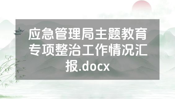 应急管理局主题教育专项整治工作情况汇报.docx