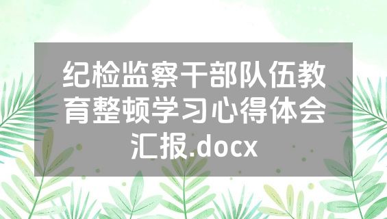 纪检监察干部队伍教育整顿学习心得体会汇报.docx
