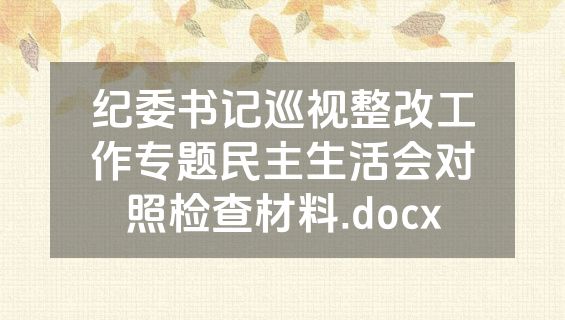 纪委书记巡视整改工作专题民主生活会对照检查材料.docx