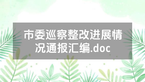 市委巡察整改进展情况通报汇编.doc