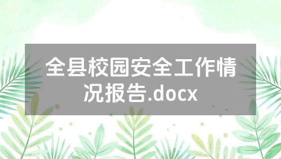 全县校园安全工作情况报告.docx