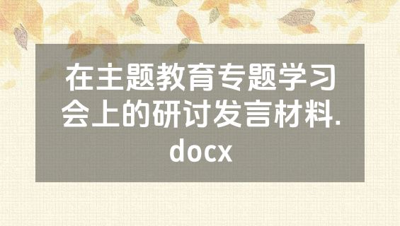 在主题教育专题学习会上的研讨发言材料.docx