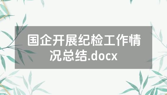 国企开展纪检工作情况总结.docx