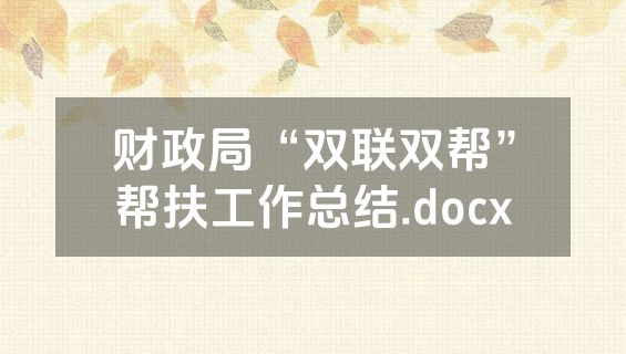 财政局“双联双帮”帮扶工作总结.docx
