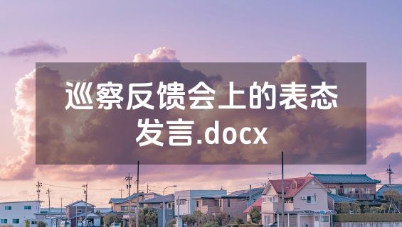 巡察反馈会上的表态发言.docx