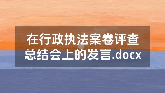 在行政执法案卷评查总结会上的发言.docx