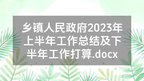 乡镇人民政府2023年上半年工作总结及下半年工作打算.docx