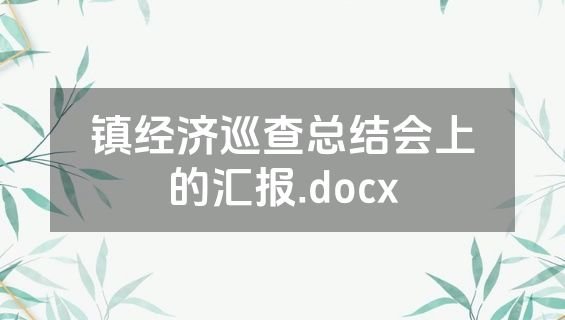 镇经济巡查总结会上的汇报.docx