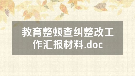 教育整顿查纠整改工作汇报材料.doc