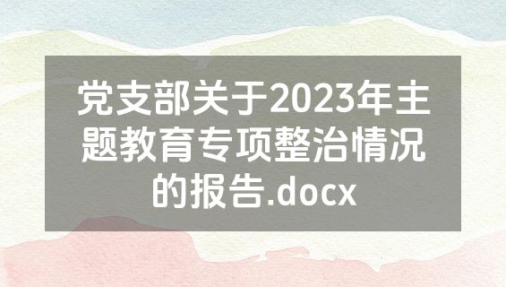 党支部关于2023年主题教育专项整治情况的报告.docx