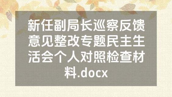 新任副局长巡察反馈意见整改专题民主生活会个人对照检查材料.docx