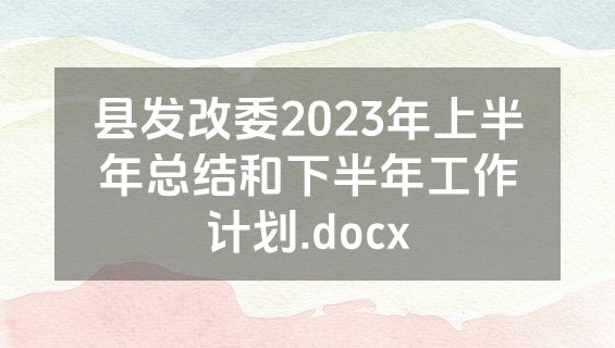 县发改委2023年上半年总结和下半年工作计划.docx