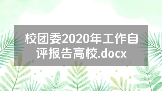 校团委2020年工作自评报告高校.docx