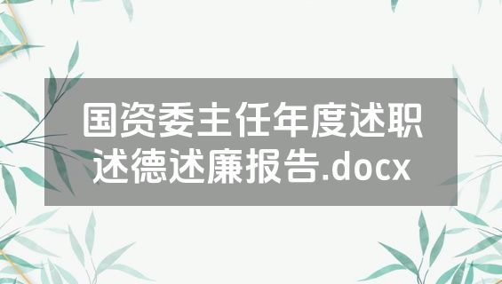 国资委主任年度述职述德述廉报告.docx