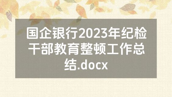 国企银行2023年纪检干部教育整顿工作总结.docx