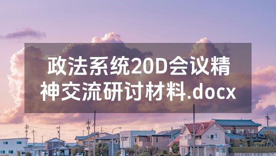 政法系统20D会议精神交流研讨材料.docx