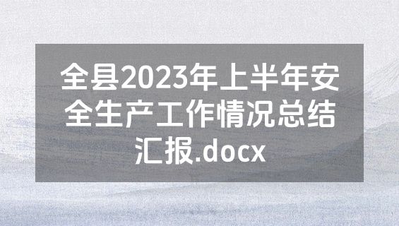 全县2023年上半年安全生产工作情况总结汇报.docx
