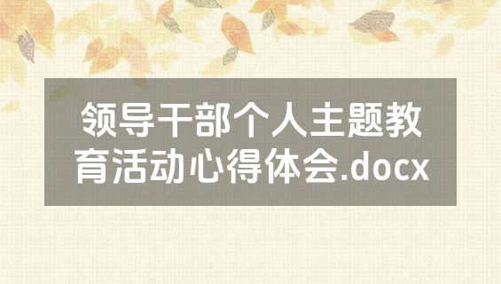 领导干部个人主题教育活动心得体会.docx