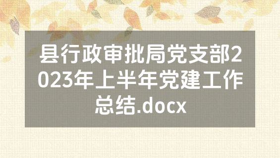 县行政审批局党支部2023年上半年党建工作总结.docx