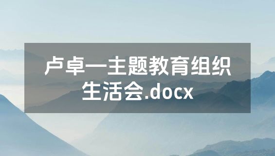 卢卓—主题教育组织生活会.docx
