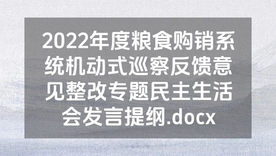 2022年度粮食购销系统机动式巡察反馈意见整改专题民主生活会发言提纲.docx