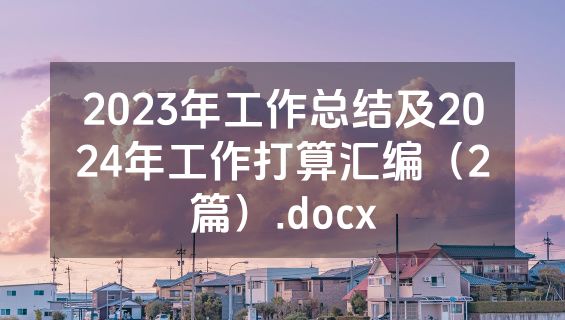 2023年工作总结及2024年工作打算汇编（2篇）.docx