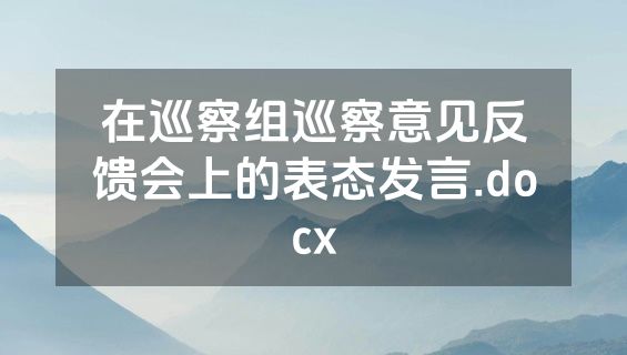 在巡察组巡察意见反馈会上的表态发言.docx