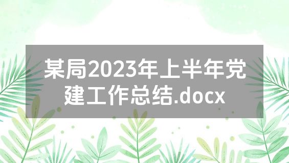 某局2023年上半年党建工作总结.docx