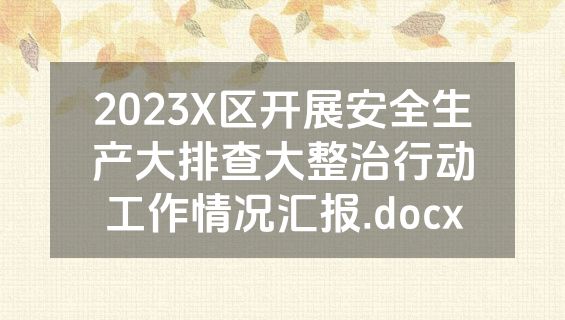 2023X区开展安全生产大排查大整治行动工作情况汇报.docx