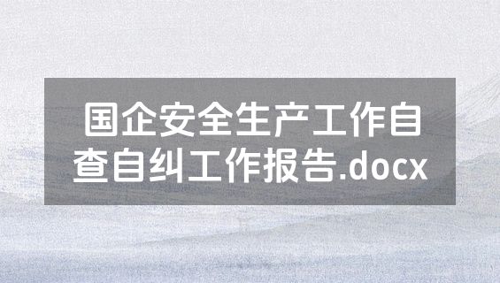 国企安全生产工作自查自纠工作报告.docx