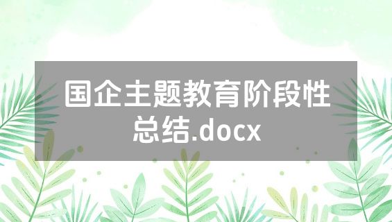 国企主题教育阶段性总结.docx