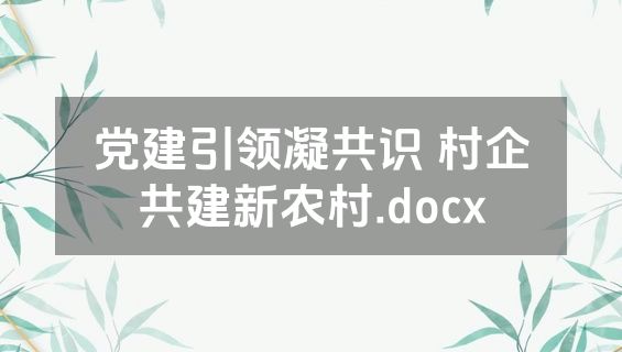 党建引领凝共识 村企共建新农村.docx