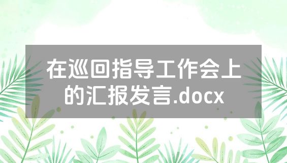 在巡回指导工作会上的汇报发言.docx