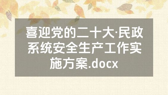 喜迎党的二十大·民政系统安全生产工作实施方案.docx