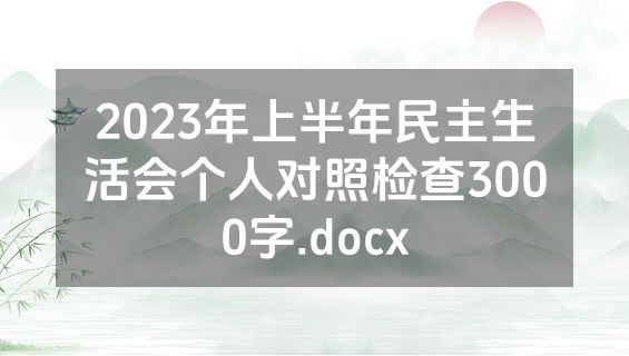 2023年上半年民主生活会个人对照检查3000字.docx