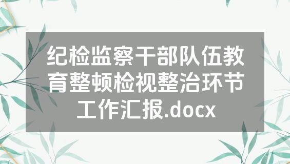 纪检监察干部队伍教育整顿检视整治环节工作汇报.docx