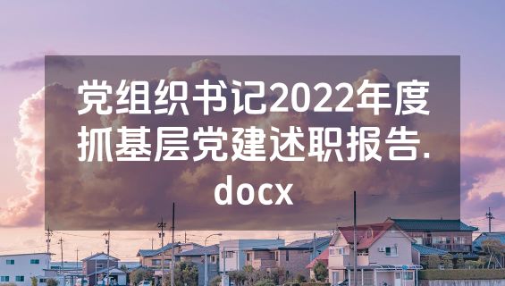 党组织书记2022年度抓基层党建述职报告.docx