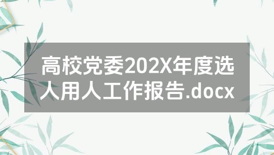 高校党委202X年度选人用人工作报告.docx