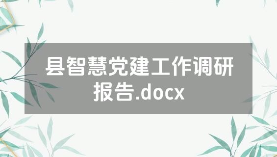 县智慧党建工作调研报告.docx
