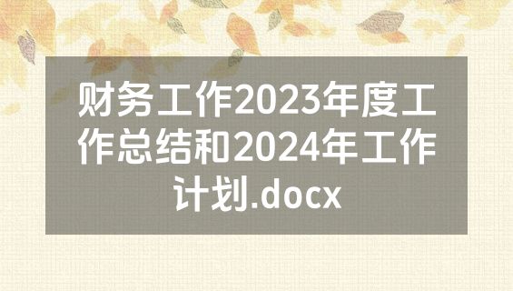财务工作2023年度工作总结和2024年工作计划.docx