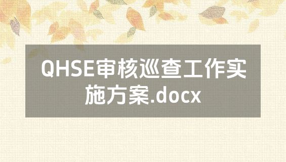 QHSE审核巡查工作实施方案.docx