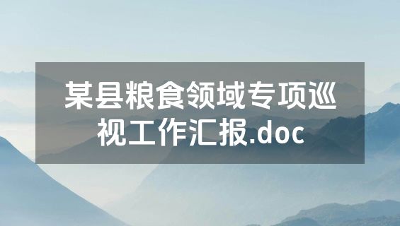 某县粮食领域专项巡视工作汇报.doc