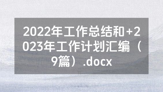 2022年工作总结和+2023年工作计划汇编（9篇）.docx