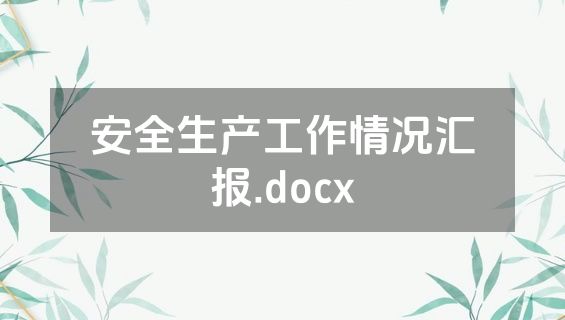 安全生产工作情况汇报.docx