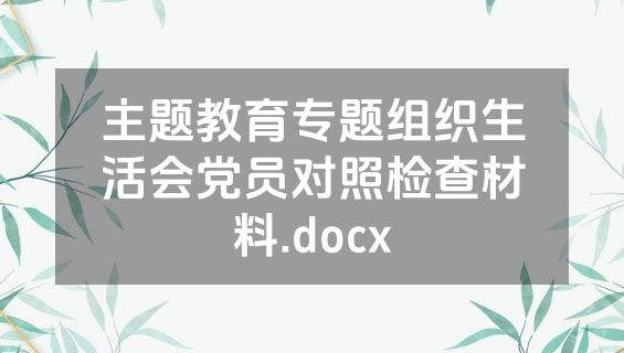 主题教育专题组织生活会党员对照检查材料.docx