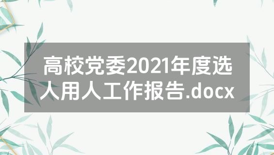 高校党委2021年度选人用人工作报告.docx