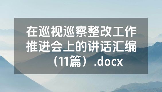 在巡视巡察整改工作推进会上的讲话汇编（11篇）.docx