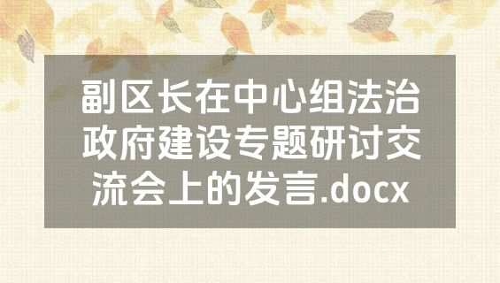 副区长在中心组法治政府建设专题研讨交流会上的发言.docx