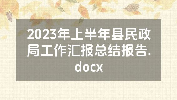 2023年上半年县民政局工作汇报总结报告.docx